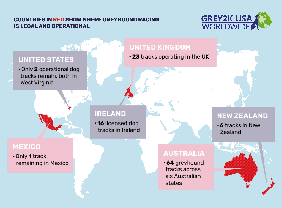 Worldwide map where greyhound racing is legal and operational